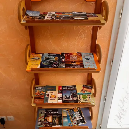 Les écureuils - 3 Minutes à Pied De La *